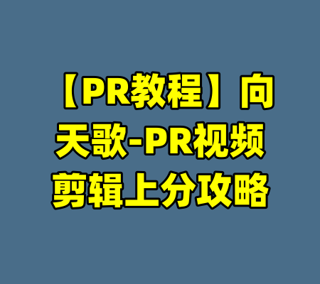 【PR教程】向天歌-PR视频剪辑上分攻略-99资源站