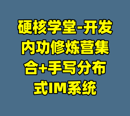 硬核学堂-开发内功修炼营集合+手写分布式IM系统