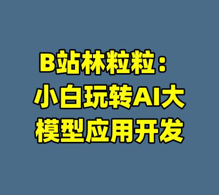 B站林粒粒：小白玩转AI大模型应用开发-99资源站