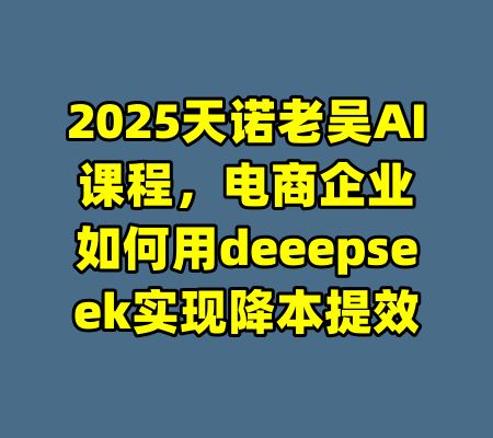 2025天诺老吴AI课程，电商企业如何用deeepseek实现降本提效-99资源站