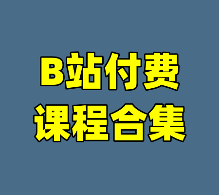 B站付费课程合集-99资源站