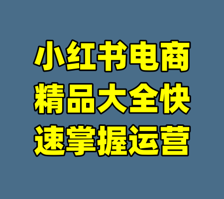 小红书电商精品大全快速掌握运营-99资源站