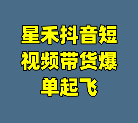 星禾抖音短视频带货爆单起飞