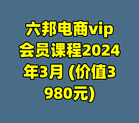 六邦电商vip会员课程2024年3月 (价值3980元)