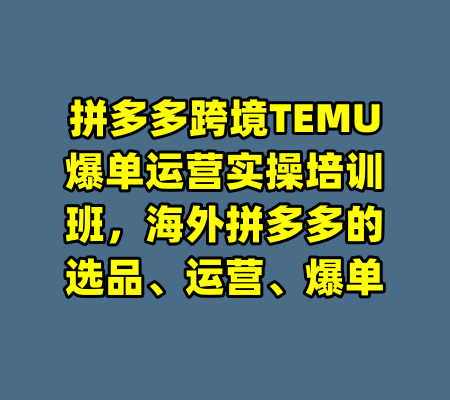 拼多多跨境TEMU爆单运营实操培训班，海外拼多多的选品、运营、爆单