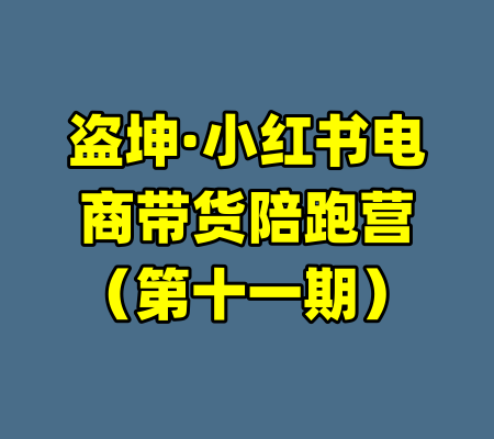 盗坤·小红书电商带货陪跑营(第十一期)