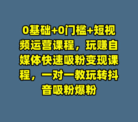 0基础+0门槛+短视频运营课程，玩赚自媒体快速吸粉变现课程，一对一教玩转抖音吸粉爆粉