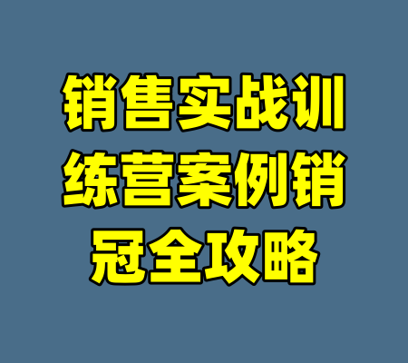 销售实战训练营案例销冠全攻略-99资源站