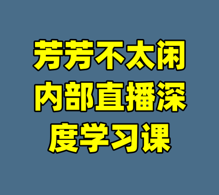 芳芳不太闲内部直播深度学习课