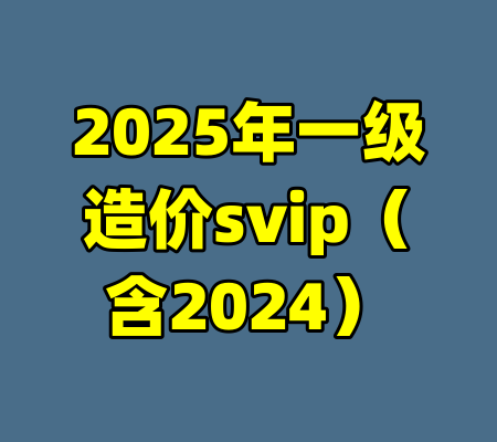 2025年一级造价svip（含2024）
