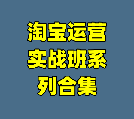 淘宝运营实战班系列合集-99资源站