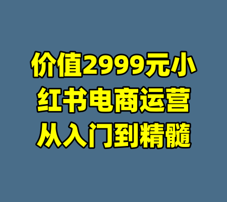 价值2999元小红书电商运营从入门到精髓-99资源站