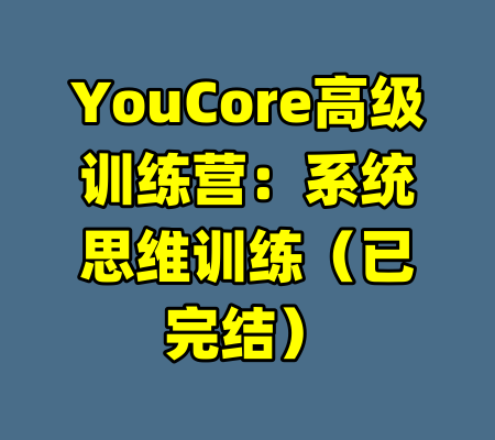 YouCore高级训练营：系统思维训练（已完结）-99资源站