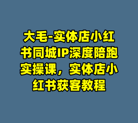 大毛-实体店小红书同城IP深度陪跑实操课，实体店小红书获客教程