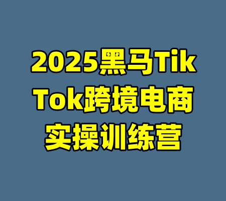 2025黑马TikTok跨境电商实操训练营-99资源站