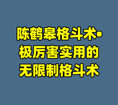 陈鹤皋格斗术•极厉害实用的无限制格斗术