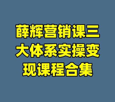 薛辉营销课三大体系实操变现课程合集-99资源站