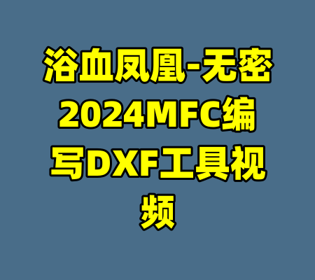 浴血凤凰-无密2024MFC编写DXF工具视频-99资源站