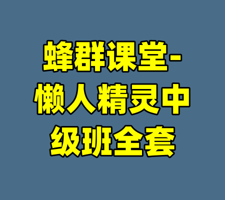 蜂群课堂-懒人精灵中级班全套