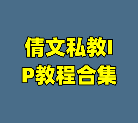 倩文私教IP教程合集