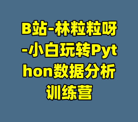 B站-林粒粒呀-小白玩转Python数据分析训练营-99资源站