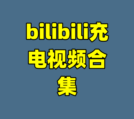 bilibili充电视频合集-99资源站