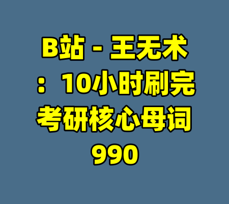 B站 - 王无术：10小时刷完考研核心母词990