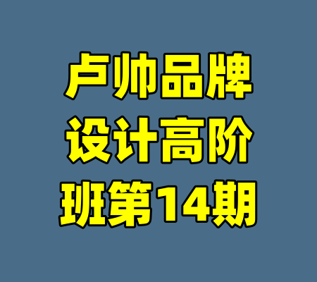 卢帅品牌设计高阶班第14期-99资源站