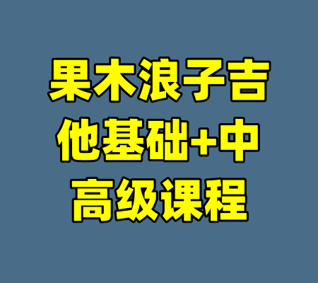 果木浪子吉他基础+中高级课程