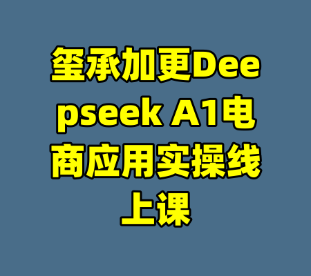 玺承加更Deepseek A1电商应用实操线上课-99资源站