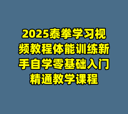 2025泰拳学习视频教程体能训练新手自学零基础入门精通教学课程-99资源站