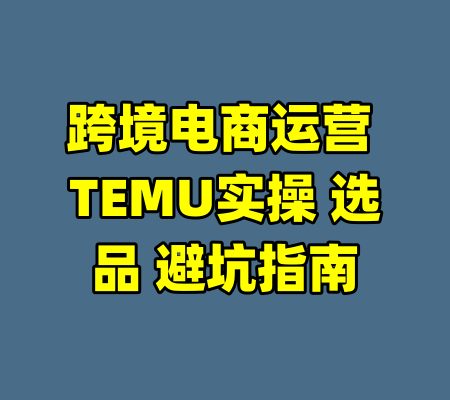 跨境电商运营 TEMU实操 选品 避坑指南-99资源站