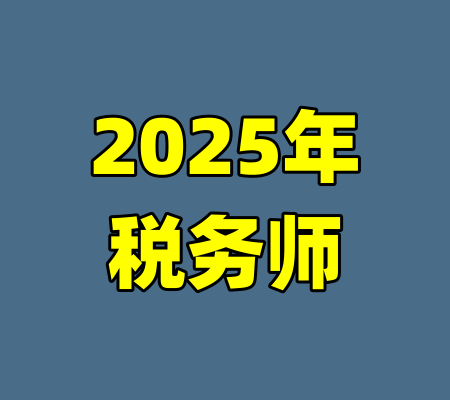 2025年税务师
