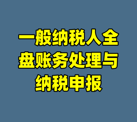 一般纳税人全盘账务处理与纳税申报