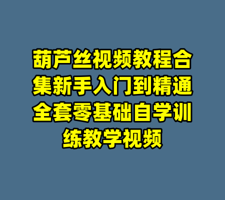 葫芦丝视频教程合集新手入门到精通全套零基础自学训练教学视频-99资源站
