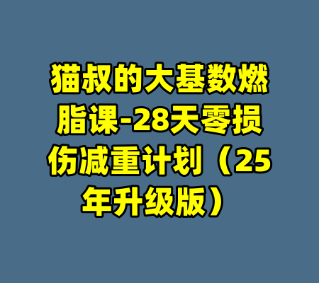 猫叔的大基数燃脂课-28天零损伤减重计划（25年升级版）