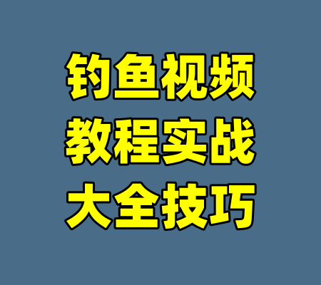 钓鱼视频教程实战大全技巧