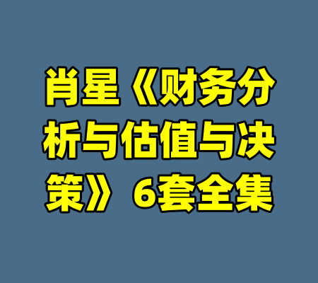 肖星《财务分析与估值与决策》 6套全集