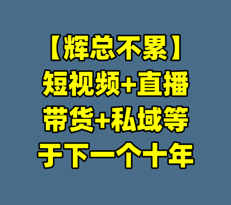 【辉总不累】短视频+直播带货+私域等于下一个十年-99资源站