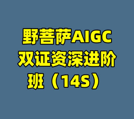 野菩萨AIGC双证资深进阶班（14S）