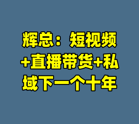 辉总：短视频+直播带货+私域下一个十年-99资源站