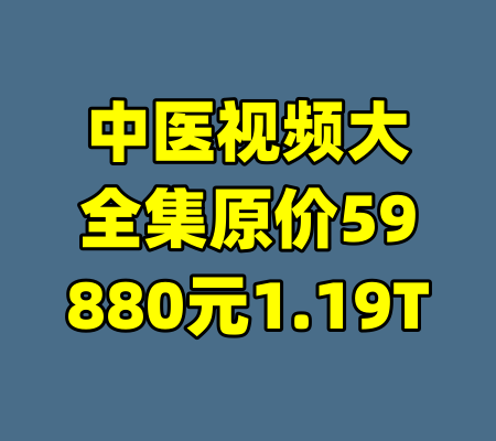 中医视频大全集原价59880元1.19T