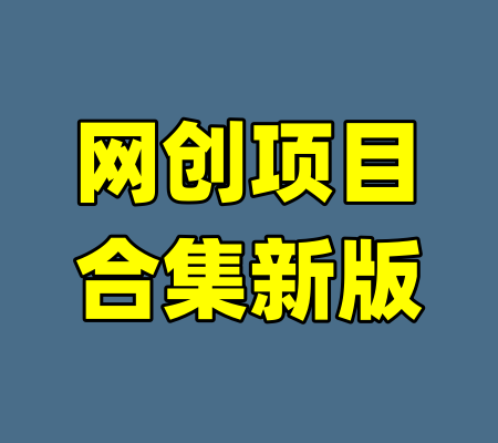 网创项目合集新版-99资源站
