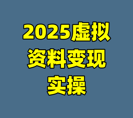 2025虚拟资料变现实操