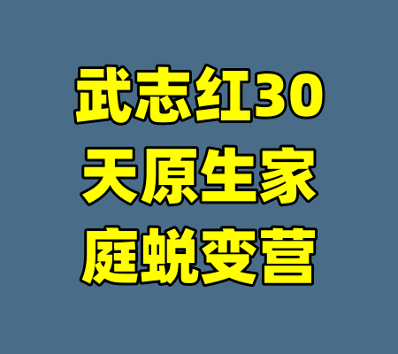 武志红30天原生家庭蜕变营