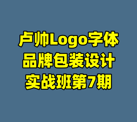 卢帅Logo字体品牌包装设计实战班第7期-99资源站