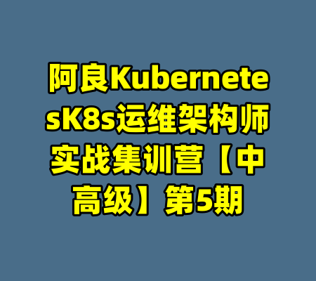 阿良KubernetesK8s运维架构师实战集训营【中高级】第5期-99资源站