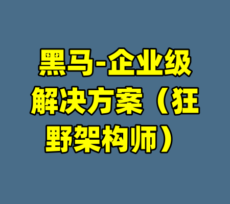 黑马-企业级解决方案（狂野架构师）-99资源站