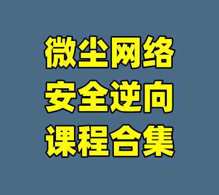 微尘网络安全逆向课程合集