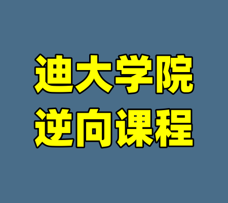 迪大学院逆向课程-99资源站